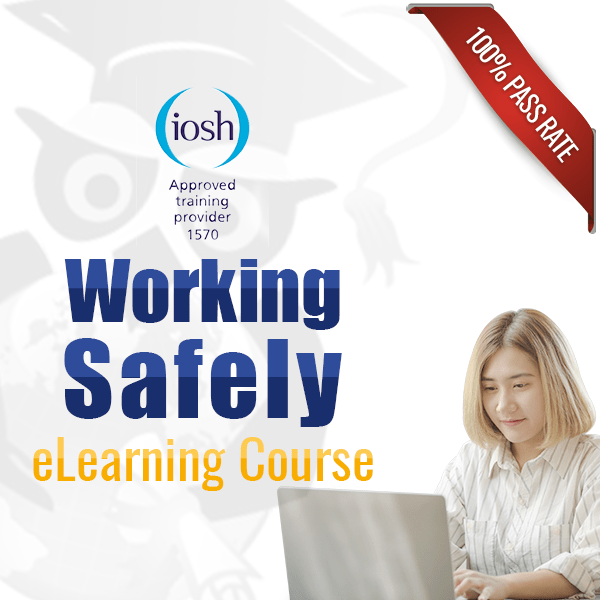 Wise Global Training Ltd | Courses