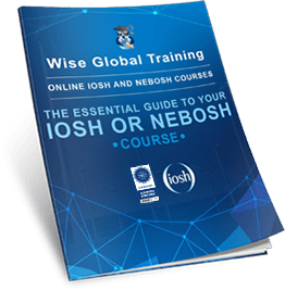 Wise Global Training eLearning Courses